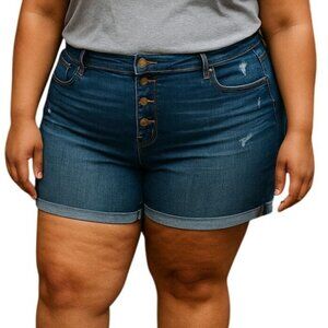 Time And Tru Plus Size 20 Shorts High-Rise Distressed Denim Button Fly